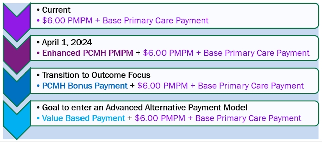 New York 1115 Medicaid Waiver payment progression chart.