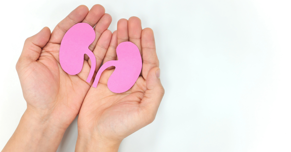 Kidney Care Choices model: CMS Performance Year 2022 evaluation findings